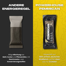 Powerhouse Pemmican - STARTER PACK