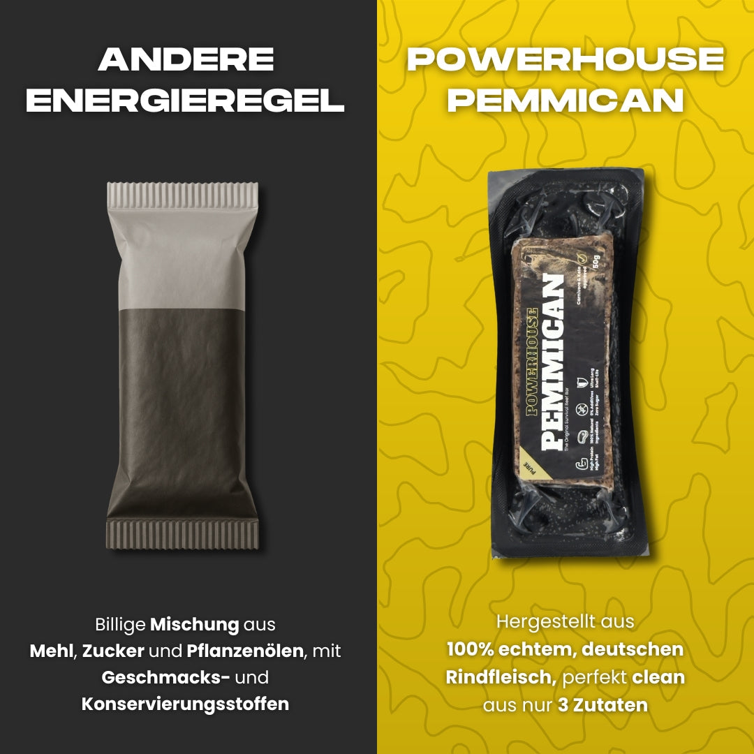 Powerhouse Pemmican - GOLDEN HONEY