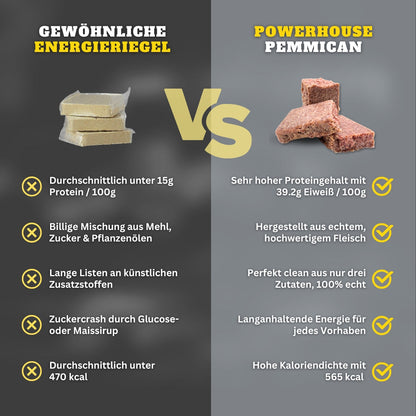 Powerhouse Pemmican - GOLDEN HONEY