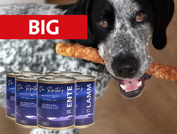 Dr. Reuter's - Buddy's Choice Monatsration 30 x 800g