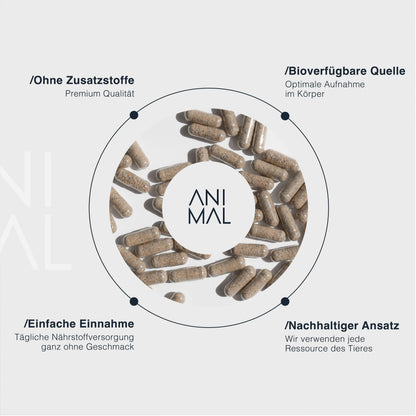 Female Complex - Grass Fed Organs mit Austern