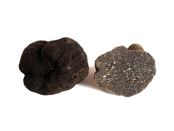 "Schwarze Winter Trüffel -  Tuber Melanosporum"