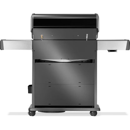 Rogue PRO-S 525 RSIB (Gasgrill)