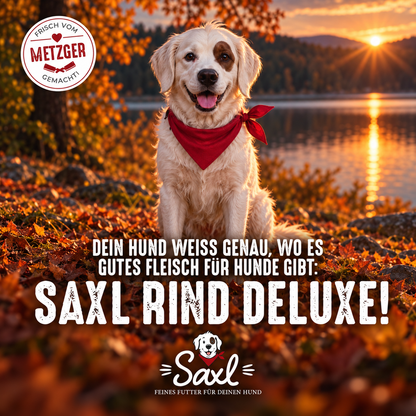 Saxl Rind Deluxe – dein Hund weiß genau, wo es gutes Fleisch für Hunde gibt