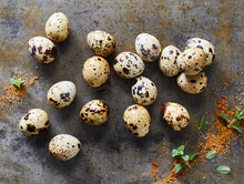 Wachteleier 18 Stück