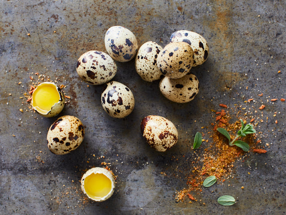 Wachteleier 18 Stück