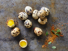 Wachteleier 18 Stück