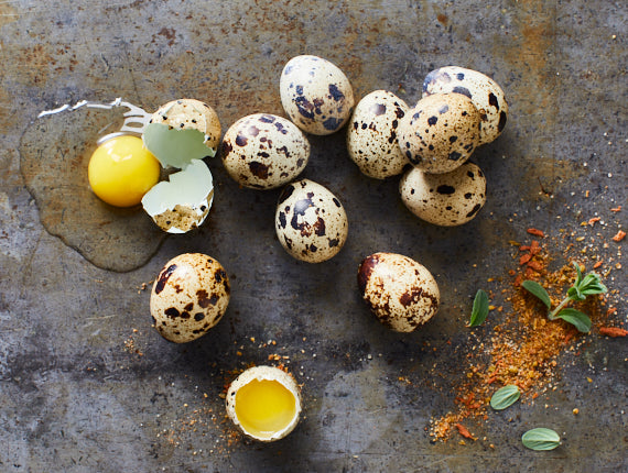 Wachteleier 18 Stück