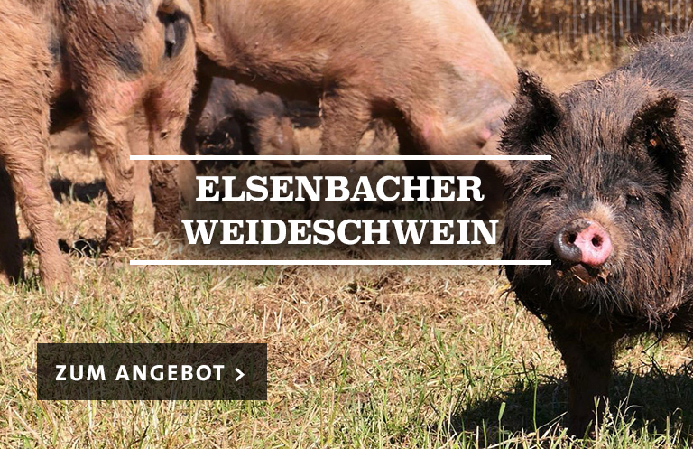 Elsenbacher Weideschwein