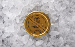Osietra Caviar - SEPEHR DAD CAVIAR