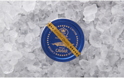 Beluga Caviar - SEPEHR DAD CAVIAR