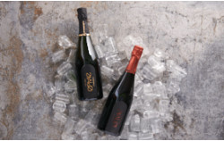 en vie Champagne - Mischset 2 x 750ml - Champagner Set