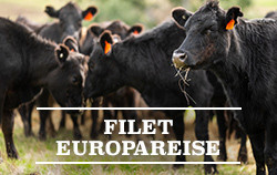 Rinderfilet Europareise