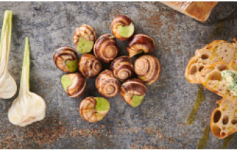 Schnecken [TKF]