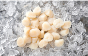 Jakobsmuscheln 800g [TKF]