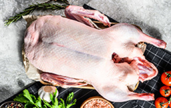 Deutsche Freiland Gans