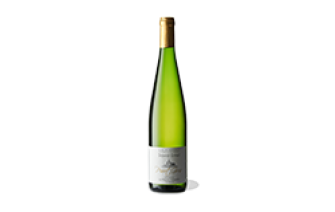 David Ermel - Pinot Gris